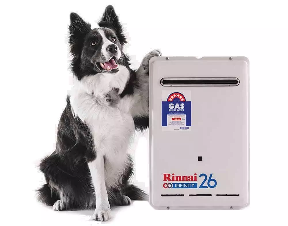 Rinnai Hot Water Systems Sunpak